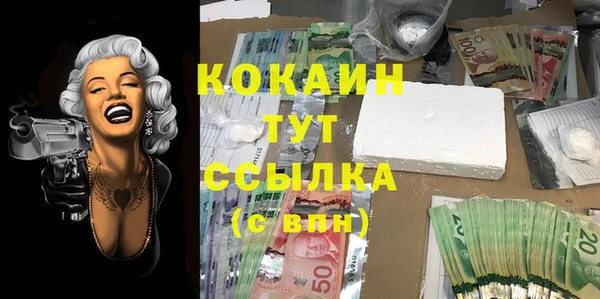 индика Абинск
