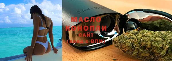 тгк Дмитриев