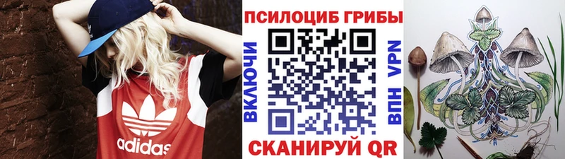 Псилоцибиновые грибы Psilocybe  купить   Удомля 